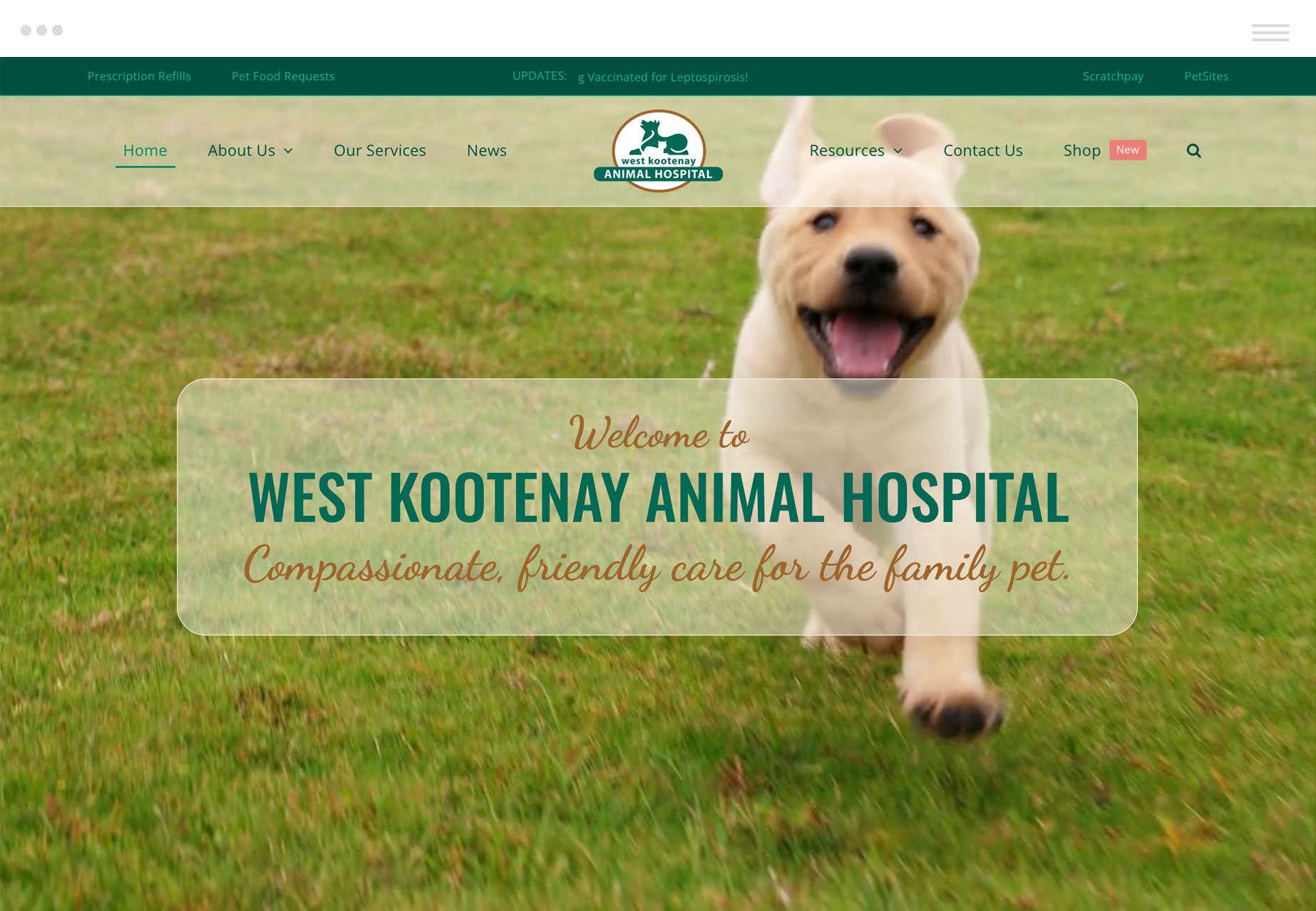 West Kootenay Animal Hospital in Trail BC - Responsive Web Design